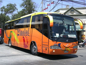 BUSES-LINATAL