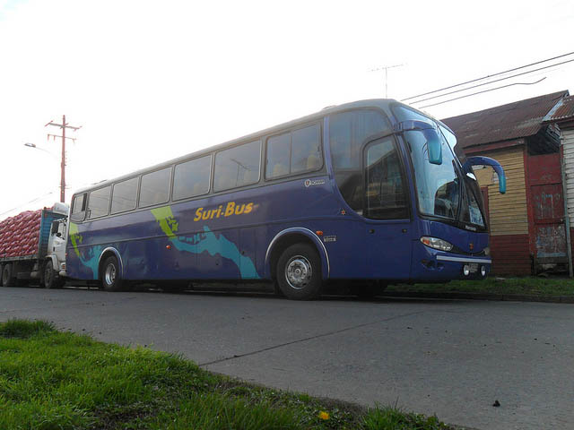 Buses Suribus