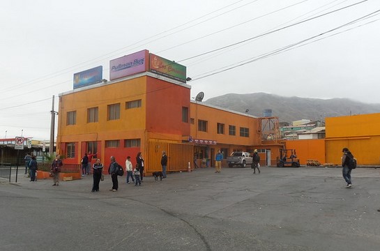 terminal chañaral