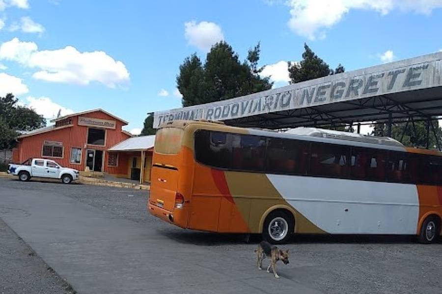 Terminal de Buses de Negrete